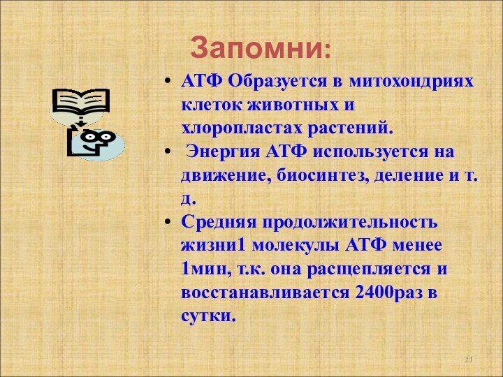 Запомни:АТФ Образуется в митохондриях клеток животных и хлоропластах растений. Энергия АТФ используется