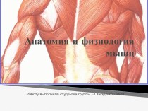 Анатомия и физиология мышц