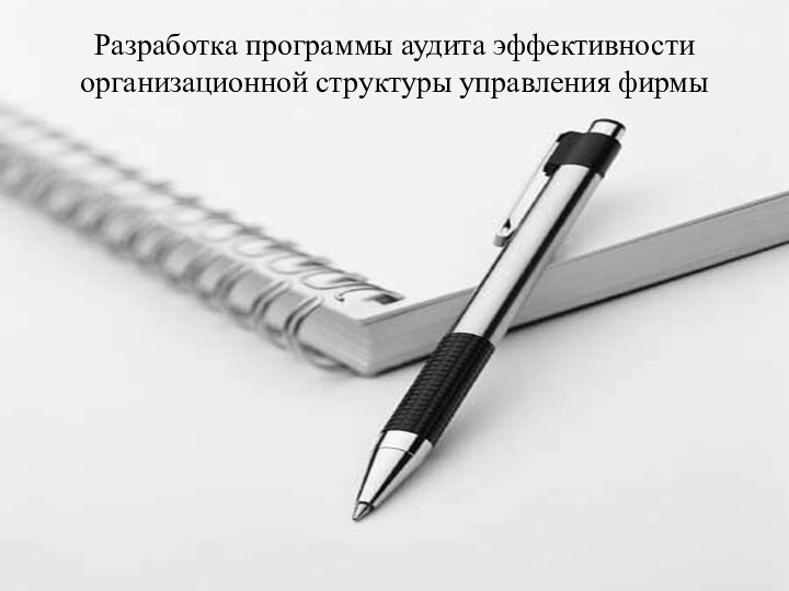 Разработка программы аудита эффективности организационной структуры управления фирмы