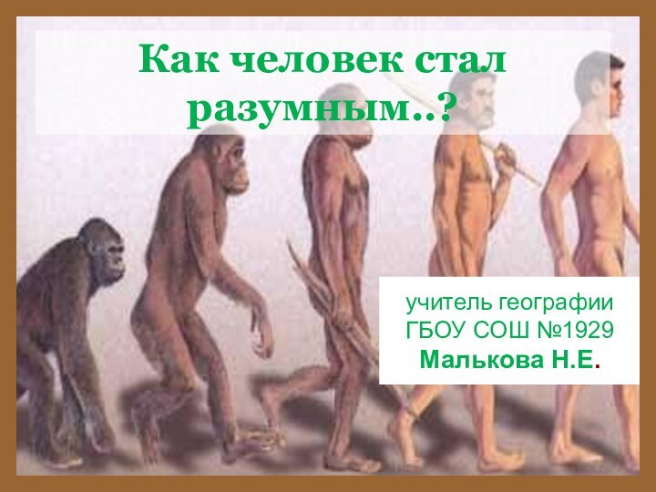 учитель географии ГБОУ СОШ №1929 Малькова Н.Е.Как человек стал разумным..?