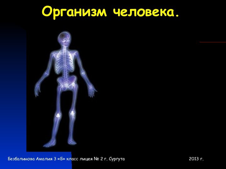 Организм человека. Безбалинова Амалия 3 «Б» класс лицея № 2 г. Сургута