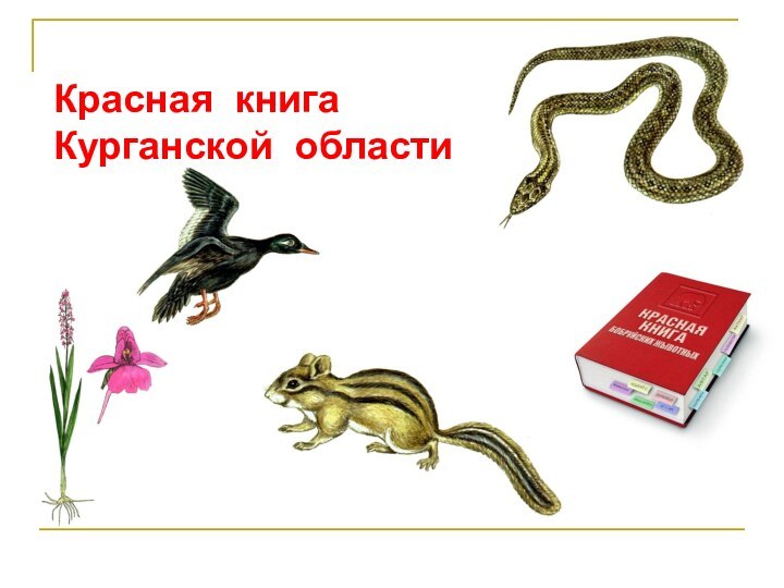 Красная книга Курганской области