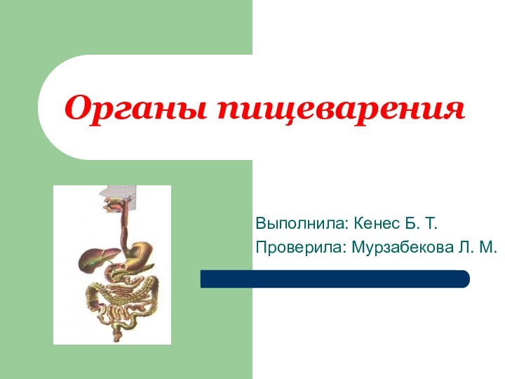 Органы пищеваренияВыполнила: Кенес Б. Т.Проверила: Мурзабекова Л. М.