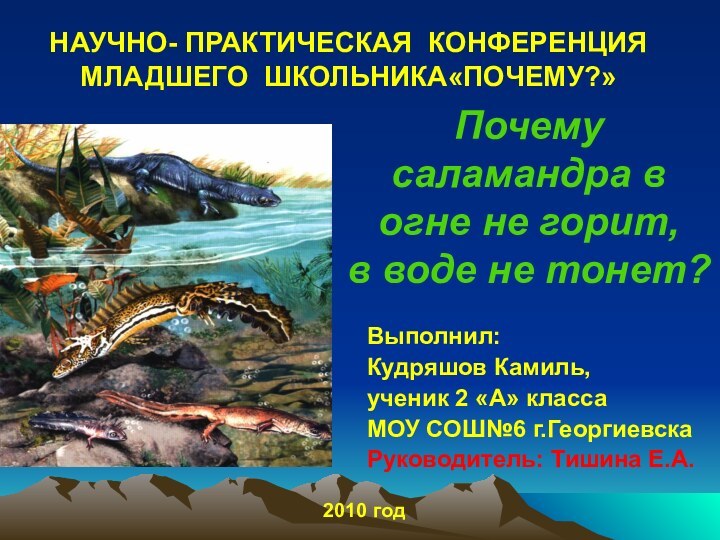 Почему саламандра в огне не горит,  в воде не тонет?Выполнил: Кудряшов