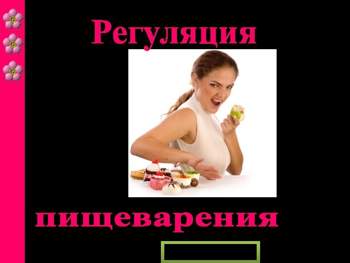 пищеваренияРегуляция