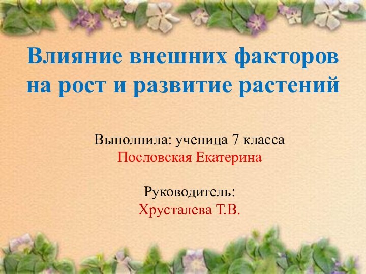 Влияние внешних факторов  на рост и развитие растений Выполнила: ученица 7