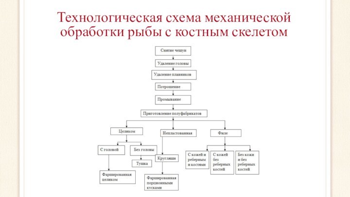 Технологическая схема механической обработки рыбы с костным скелетом