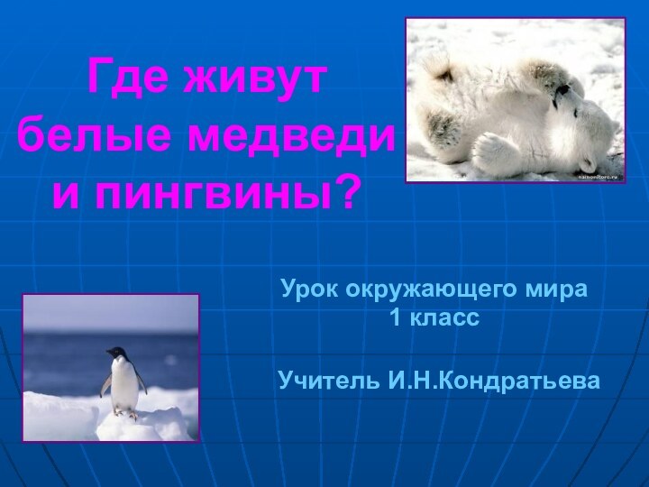 Где живут  белые медведи  и пингвины?Урок окружающего мира1 классУчитель И.Н.Кондратьева