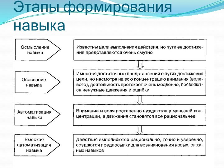 Этапы формирования навыка