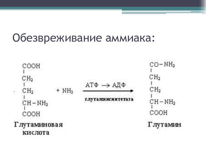 Обезвреживание аммиака: