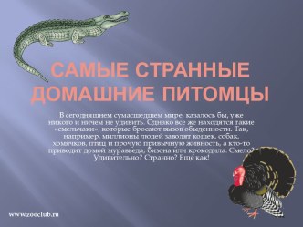 Самые странные домашние питомцы