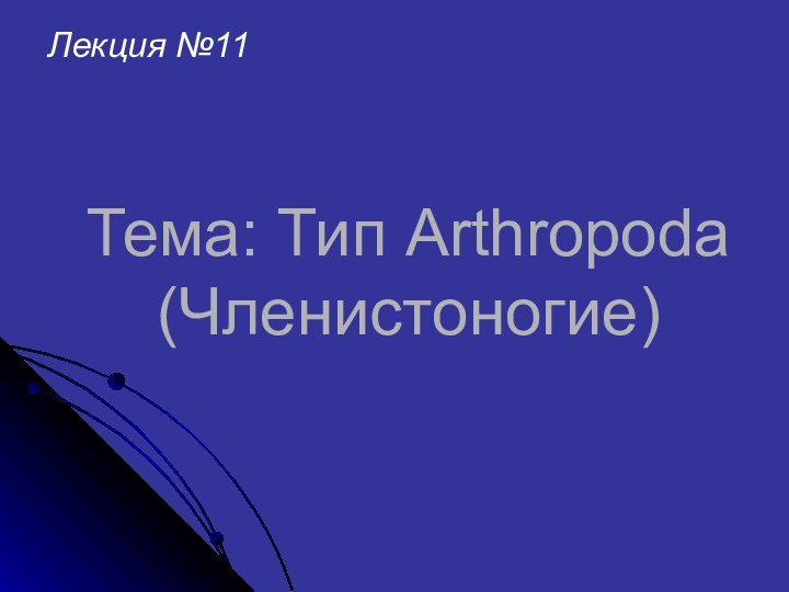 Тема: Тип Arthropoda (Членистоногие)Лекция №11