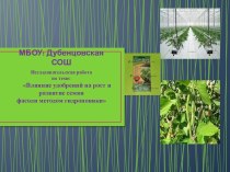 Влияние минеральных удобрений на рост и развитие семян фасоли методом гидропоникой