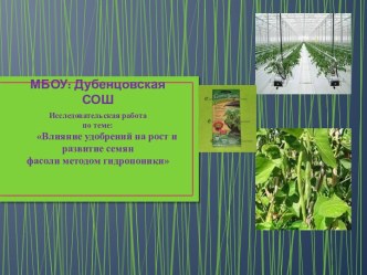 Влияние минеральных удобрений на рост и развитие семян фасоли методом гидропоникой