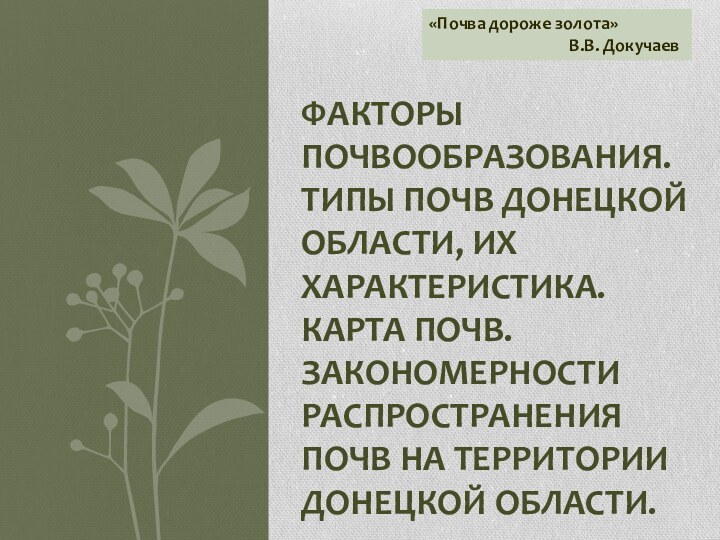 Факторы почвообразования. Типы почв Донецкой области, их характеристика. Карта почв. Закономерности распространения