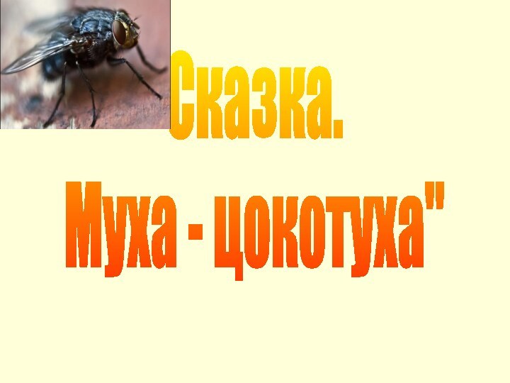 Сказка.Муха - цокотуха