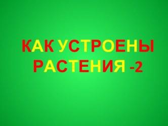 Как устроены растения