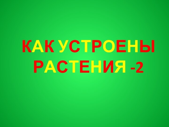 Как устроены растения -2