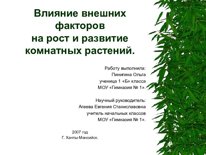 Влияние внешних факторов  на рост и развитие комнатных растений.Работу выполнила:Пинигина