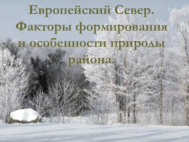 Европейский Север. Факторы формирования и особенности природы  района.