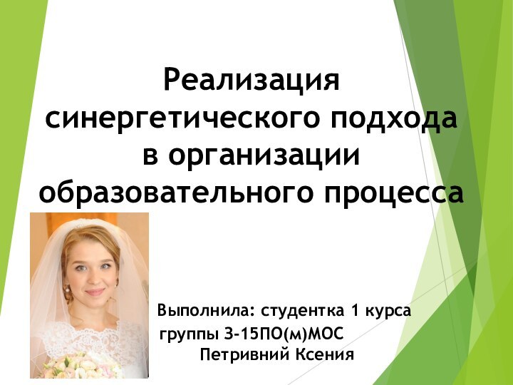 Реализация синергетического подхода в организации образовательного процесса