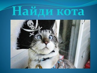 Найди кота