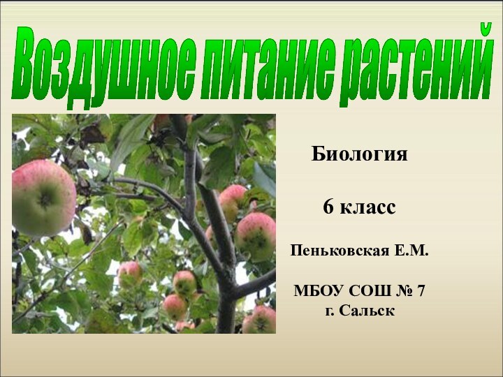 Воздушное питание растений Биология6 классПеньковская Е.М.МБОУ СОШ № 7г. Сальск