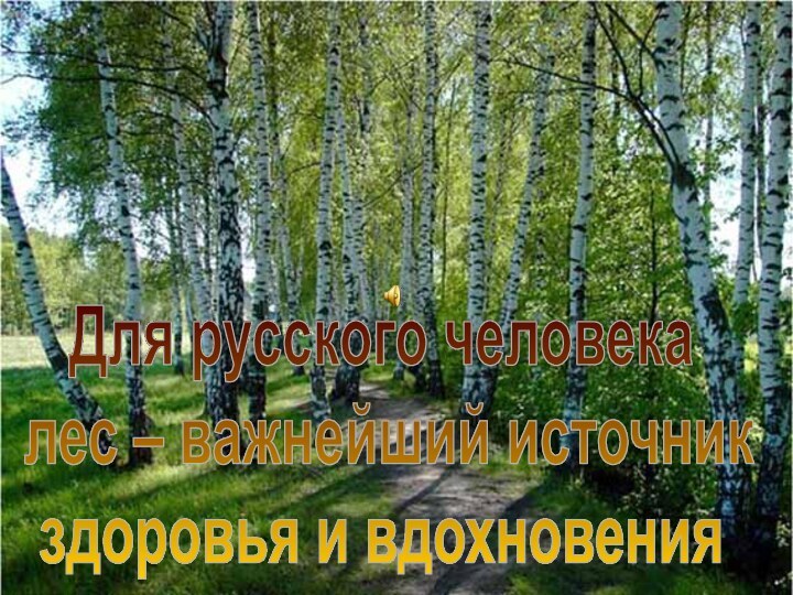 Для русского человека лес – важнейший источник здоровья и вдохновения