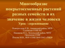 Многообразие покрытосеменных растений разных семейств