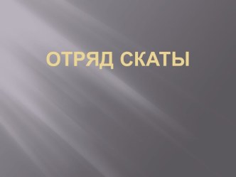 Отряд скаты