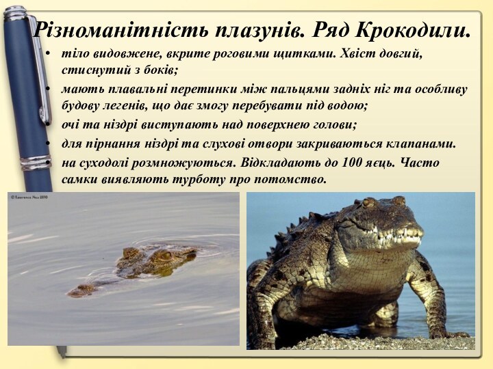 тіло видовжене, вкрите роговими щитками. Хвіст довгий, стиснутий з боків;мають плавальні перетинки