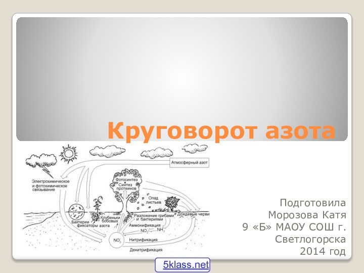 Подготовила Морозова Катя9 «Б» МАОУ СОШ г.Светлогорска2014 годКруговорот азота