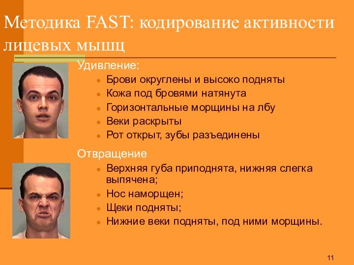 Методика FAST: кодирование активности лицевых мышцУдивление:Брови округлены и высоко поднятыКожа под бровями