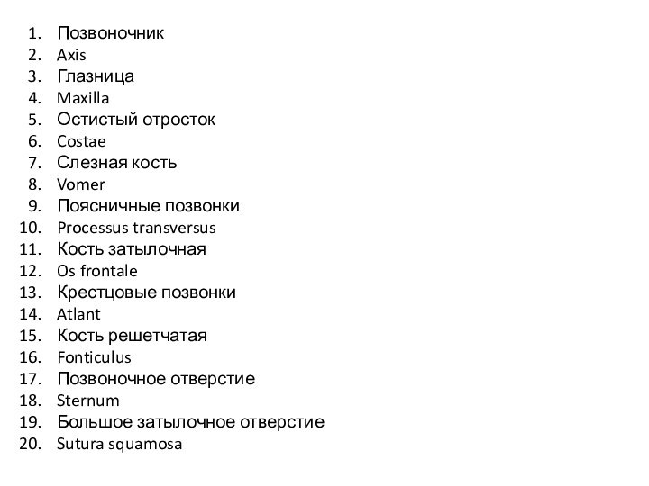 ПозвоночникAxis ГлазницаMaxillaОстистый отростокCostaeСлезная костьVomerПоясничные позвонкиProcessus transversusКость затылочнаяOs frontaleКрестцовые позвонкиAtlantКость решетчатаяFonticulusПозвоночное отверстиеSternumБольшое затылочное отверстиеSutura squamosa