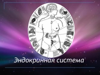 Эндокринная система