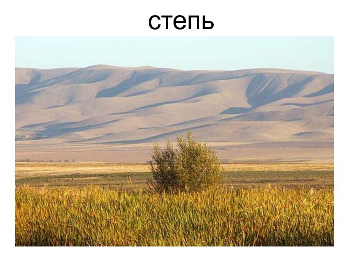 степь