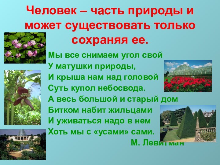 Человек – часть природы и может существовать только сохраняя ее.Мы все снимаем