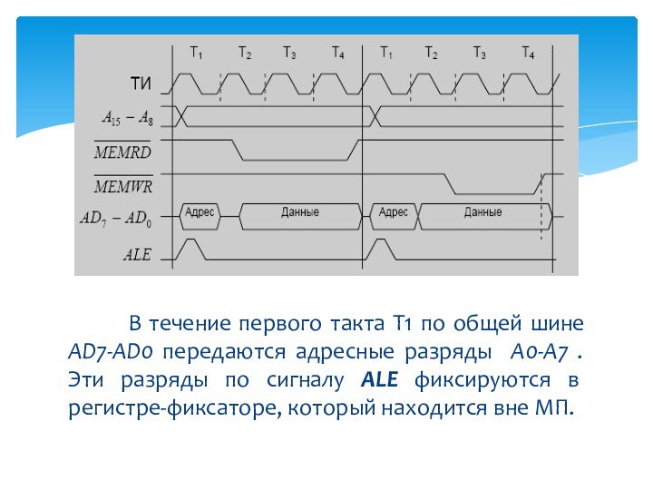 В течение первого такта