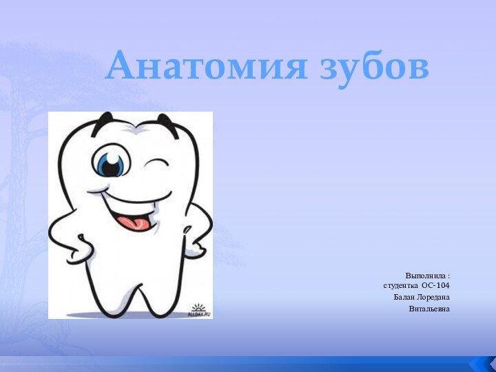 Анатомия зубовВыполнила : студентка ОС-104Балан ЛореданаВитальевна