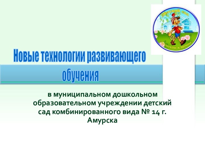 в муниципальном дошкольном образовательном учреждении детский сад комбинированного вида № 14 г.