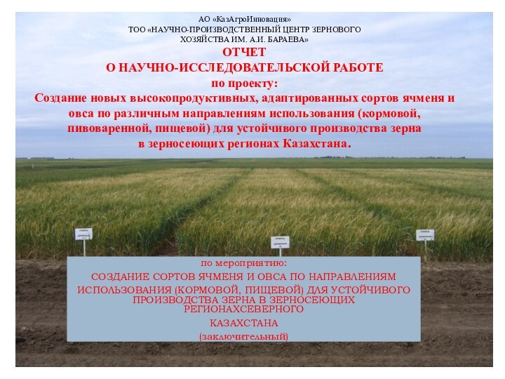 АО «КазАгроИнновация» ТОО «Научно-производственный центр зернового  хозяйства им. А.И. Бараева» ОТЧЕТ