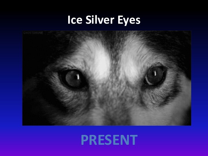 Ice Silver EyesPresent