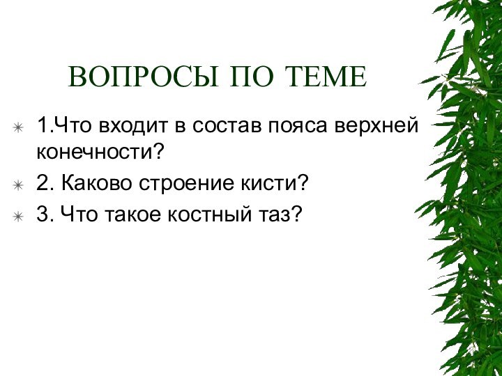 ВОПРОСЫ ПО ТЕМЕ1.Что входит в состав пояса верхней конечности?2. Каково строение кисти?3. Что такое костный таз?