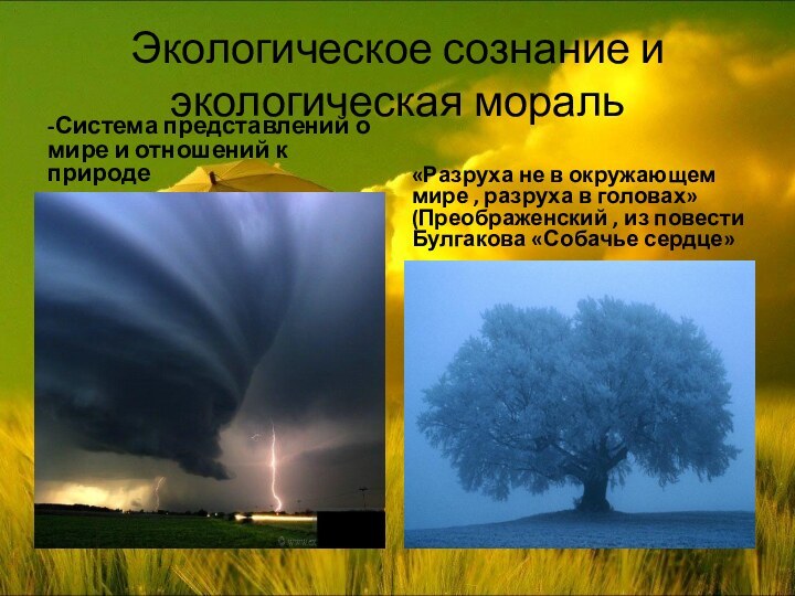 Экологическое сознание и экологическая мораль -Система представлений о мире и отношений к