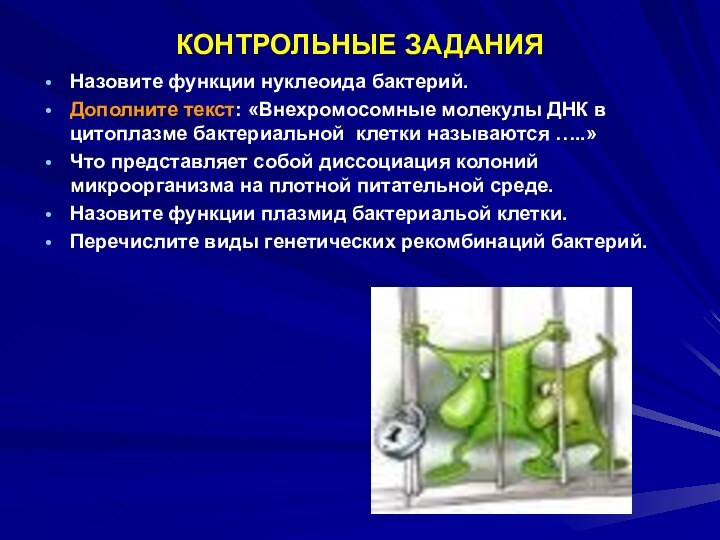 КОНТРОЛЬНЫЕ ЗАДАНИЯНазовите функции нуклеоида бактерий.Дополните текст: «Внехромосомные молекулы ДНК в цитоплазме бактериальной