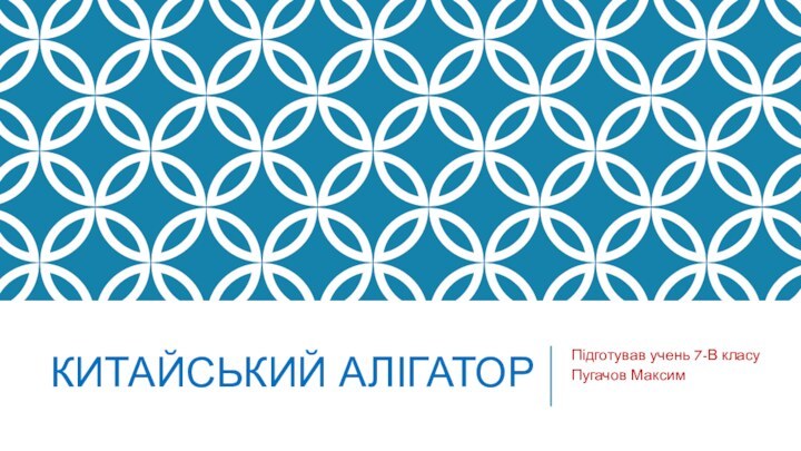 Китайський алігаторПідготував учень 7-В класу Пугачов Максим