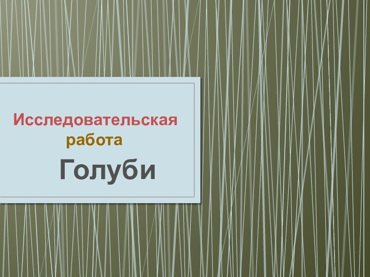 Исследовательская          работа   Голуби