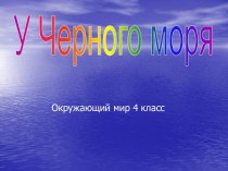 У Черного моря