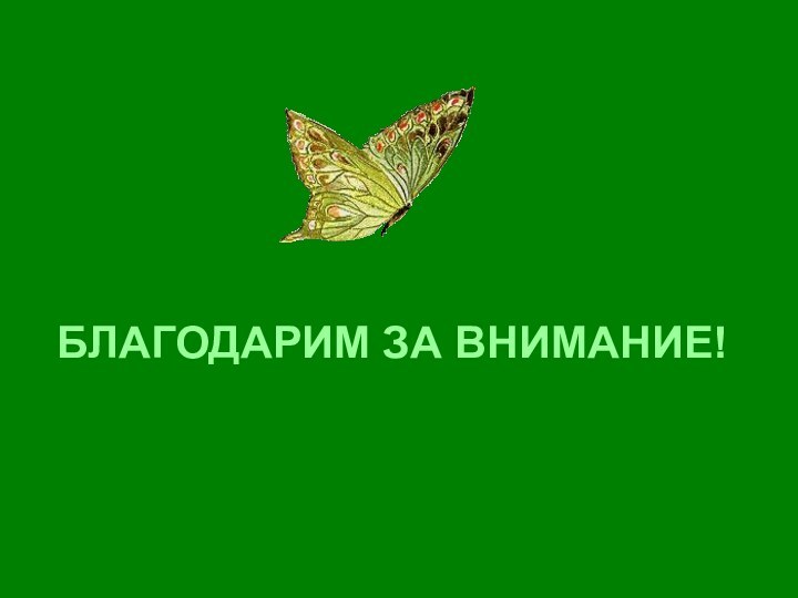 БЛАГОДАРИМ ЗА ВНИМАНИЕ!