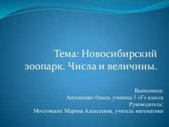 Новосибирский зоопарк. Числа и величины